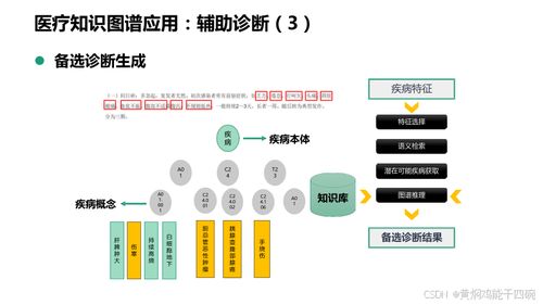 人工智能在醫(yī)療行業(yè)的應(yīng)用 基于知識圖譜的信息化技術(shù)方案與服務(wù)
